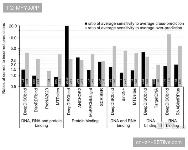 法国连续两届决赛大赛DNA 阵容深度可排两套实力阵容